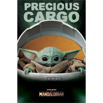 slecht Haalbaarheid stoeprand Star Wars Maxi Poster 61 x 91,5 cm The Mandalorian Precious Cargo - Achat &  prix | fnac
