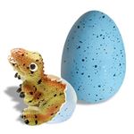 Kit Œuf Dinosaure à Éclore Dans L'Eau – 12 Figurines Dino Surprise + Outils De Fouille, Jouet Éducatif Enfant 4-10 Ans Garçon