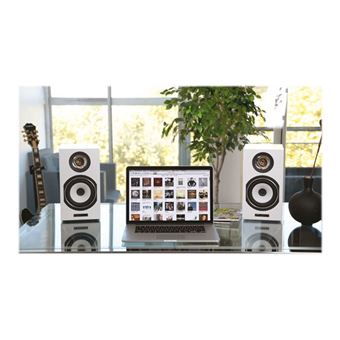 Triangle ESPRIT EZ TITUS Ez - Haut-parleurs - 60 Watt - 2 voies - blanc laqué