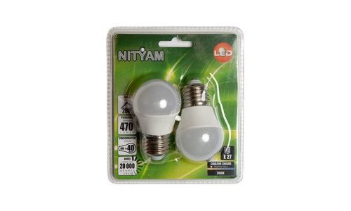 Ampoule éclairage NITYAM SPHE D E27 6W (X2)