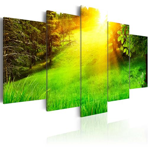 Tableau | Forêt et soleil | 200x100 | XXL | Paysages | Forêt | |