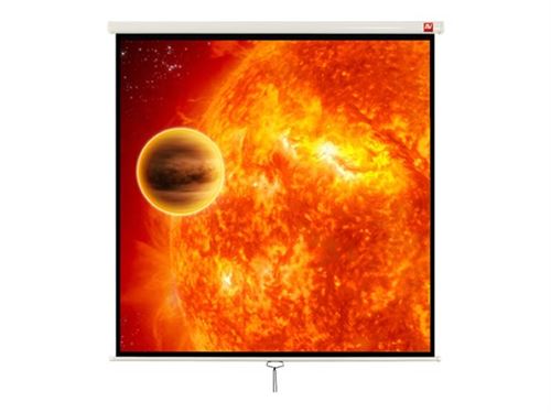 AVTek Video 240 - Écran de projection - montable au plafond, montable sur mur - 114 (289 cm) - 4:3 - blanc mat - blanc