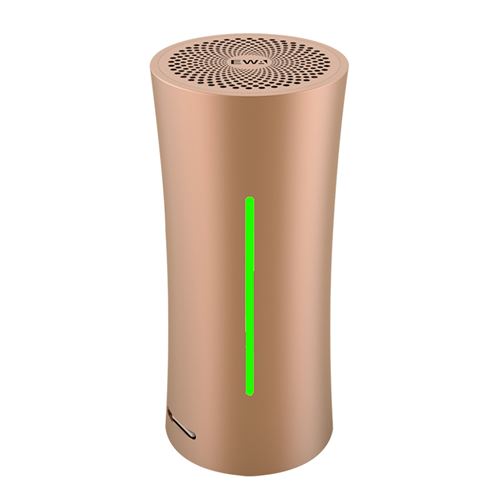 enceinte bluetooth EWA A115 or