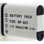 Caricabatterie Doppio USB LCD per Batteria NP-BX1, Compatibile con Sony ZV-1 RX100 RX100 II