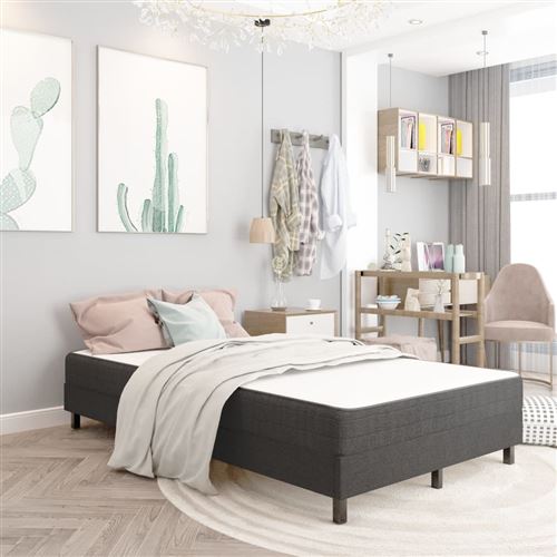 Vidaxl - Sommier tapissier Gris fonc&eacute; Tissu 120x200 cm n/a