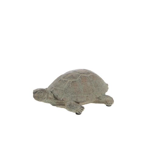 Non Communiqué Gris Statue : Tortue Écailles Petit Modèle - Amadeus