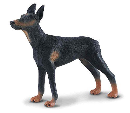 Figurines Collecta - Chien Dobermann