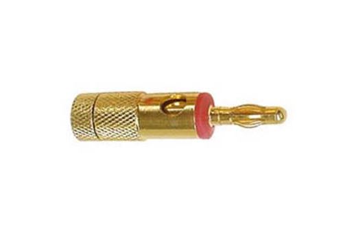Fiche banane dorées 4 mm rouge pour c ble haut-parleur