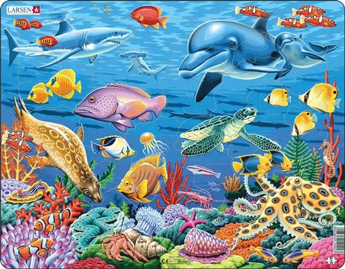 Larsen puzzle Puzzle Maxi Koraalrif35 pièces