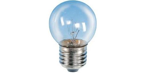 Ampoule de four Barthelme E27 40 W 1 pc(s)
