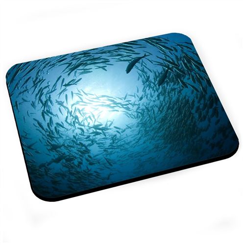 Tapis de souris Banc de poisson mer ocean eau photo marine plongee