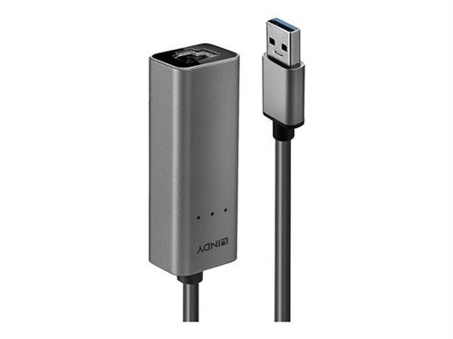 Lindy 43313 Kabeladapter USB-A RJ-45 Silber
