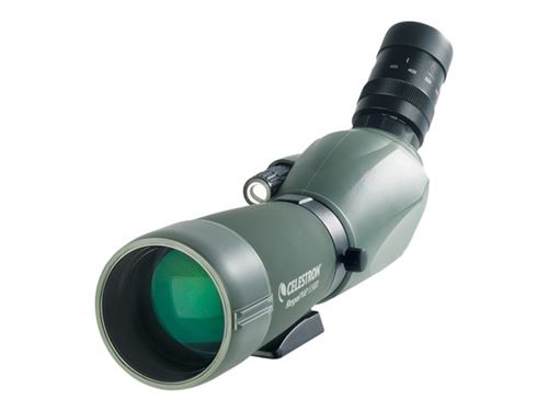 Celestron Regal M2 65ED - Portée du repérage 16-48 x 65 - Etanche - vert