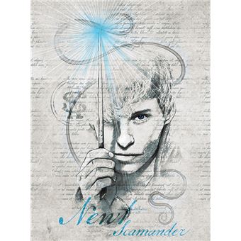 Les Animaux Fantastiques Les Crimes De Grindelwald Poster Reproduction Sur Toile Tendue Sur Chassis Norbert Dragonneau 80x60 Cm Achat Prix Fnac