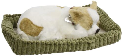 Perfect Petzzz - 4906 - Peluche - Chien Chihuahua