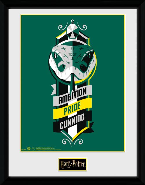 Photographie encadrée Harry Potter Ambition 30x40cm