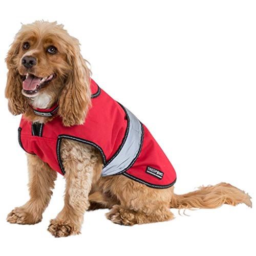 Comparer les prix de Trespass - Veste imperméable DUKE - Chien (2XS) (Rouge) - UTTP4504