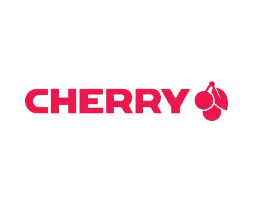 Cherry Souris Cherry sans fil ergonomique JW4500 pour droitier - prix pas  cher chez iOBURO- prix pas cher chez iOBURO