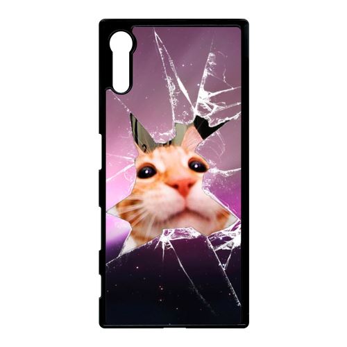 Coque Sony Xperia Xz Hamster Vitre Brise