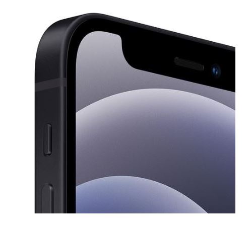 Apple iPhone 12 6,1 128 Go Double SIM 5G Noir - Reconditionné - iPhone -  Achat & prix