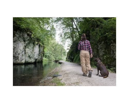 Lampe de poche Brennenstuhl LuxPremium TL 250F LED avec dragonne à pile(s) 250 lm 4 h 215 g