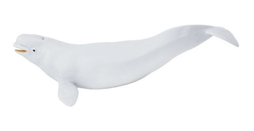 Safari animaux marins Dauphin béluga junior 21 cm blanc