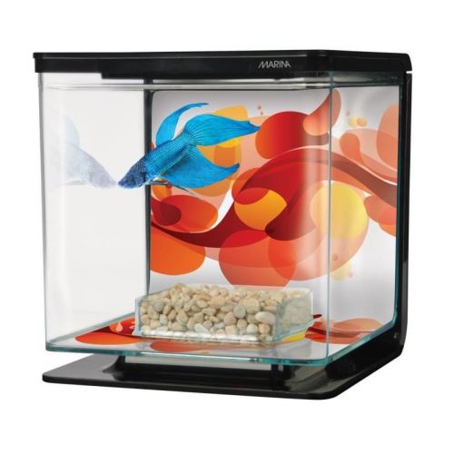 Comparer les prix de betta art deco starter kit aquarium 2 l