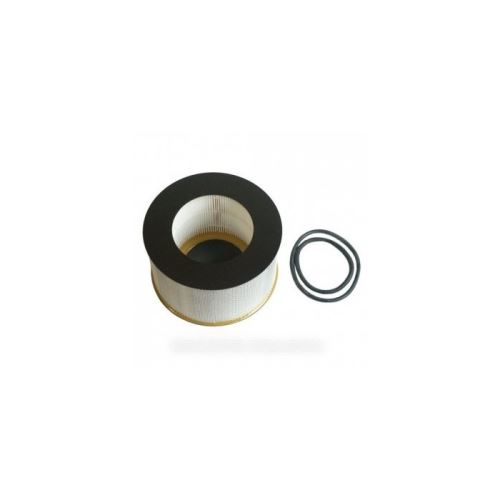 Filtre hepa h13 pro sans la cellule pour aspirateur nilfisk advance - 21738000