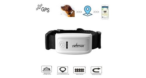 Meilleurs prix pour Traqueur en temps réel de gps d'animal familier de localisateur global pour le suivi de collier de gps de chien / chat d'animal familier
