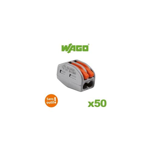 Borne connexion 2x4mm² - boite de 50 - 222412 - wago