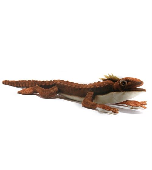 Peluche Tuatara (Sphenodon) 50cmL