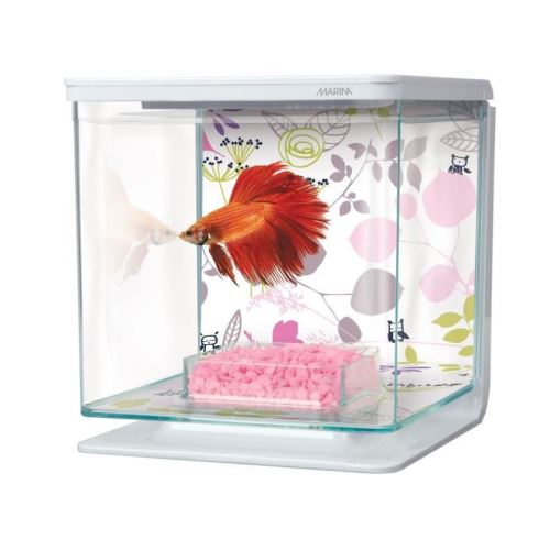 Meilleurs prix pour marina kit aquarium équipé floral pour betta - 2 l