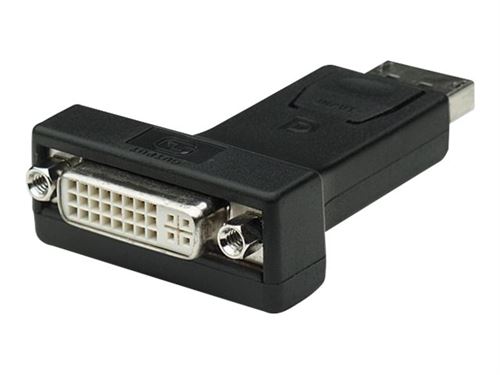 TECHly - Adaptateur vidéo - DisplayPort (M) pour DVI-I (F) - 7.3 cm - noir