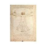 Puzzle 1000 Pièces Ravensburger Léonard de Vinci : L'Homme de Vitruve