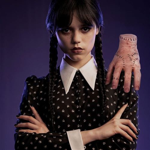 Acheter Mercredi Addams Family Thing Hand, Cosplay Hand By Family,  Accessoires de décoration effrayants, cadeau pour les fans
