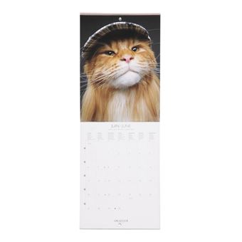 Petit Calendrier Mural Chats - 2022 - Draeger Paris