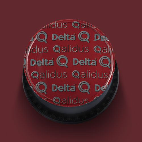 Delta Q Quick avec 150 gélules (DELTA Q) - acheter sur Galaxus