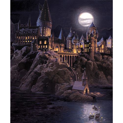 AG ART Papier peint Harry Potter Poudlard dans la nuit 225 x 270 cm