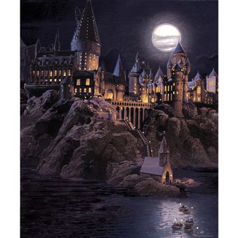 AG ART Papier peint Harry Potter Poudlard 225 x 270 cm - 1