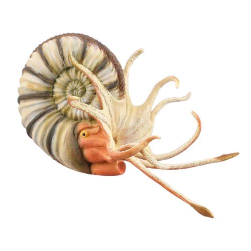 Collecta animal de jeu Pleuroceras 11,9 cm plastique ABS blanc