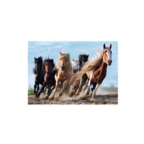 Puzzle Trefl - Chevaux au galop, 1000 pièces