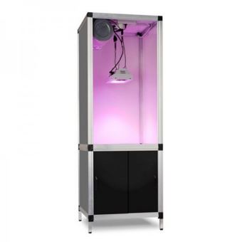 G Tools Chambre De Culture Kit Bonanza Black Mini 61x61x176 Cm