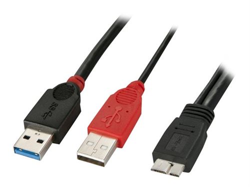 Lindy Dual Power - câble USB - 1 m