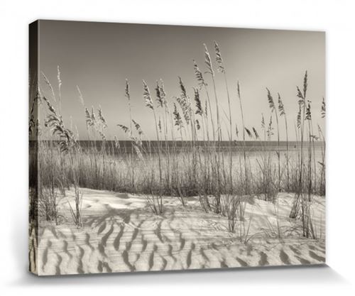 Dunes Poster Reproduction Sur Toile, Tendue Sur Châssis - Dune Grass, Dennis Frates (60x80 cm)