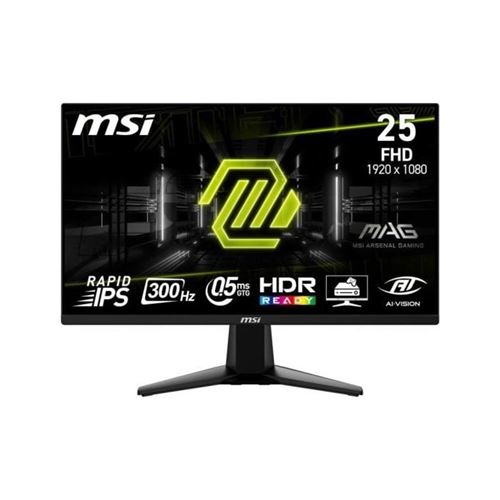 MSI MAG 255XF - Écran LED - jeux - 25 (24.5 visualisable) - 1920 x 1080 Full HD (1080p) @ 300 Hz - Fast IPS - 250 cd/m² - 1000:1 - 0.5 ms - 2xHDMI, DisplayPort - noir métallisé