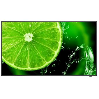 NEC MultiSync E498 - Classe de diagonale 49" E Series écran LCD rétro-éclairé par LED - signalisation numérique - 4K UHD (2160p) 3840 x 2160 - HDR - LED à éclairage direct - 1