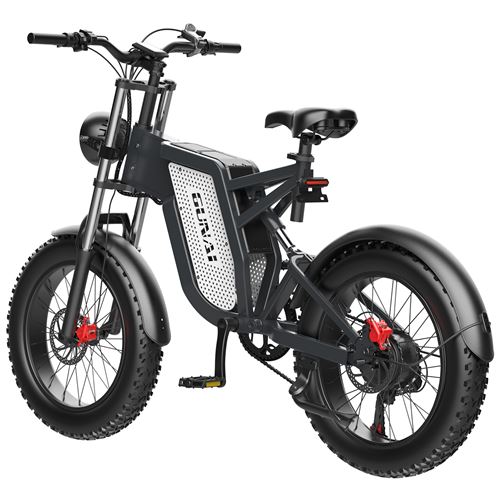 Velo electrique pour discount homme