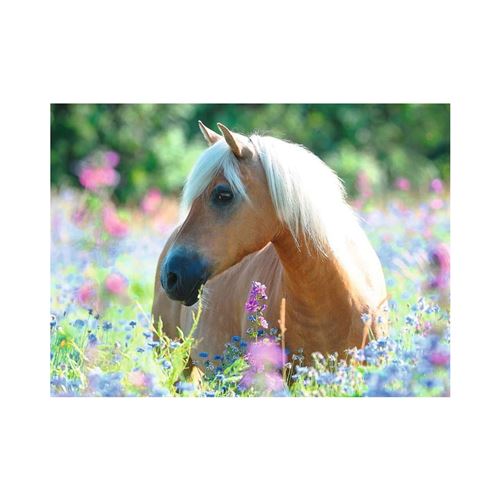 Puzzle 300 pièces Ravensburger - Cheval sur champ de fleurs