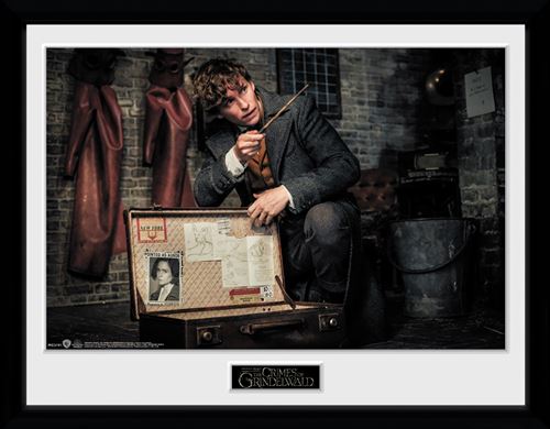 Photographie encadrée Fantastic Beasts 2 Newt Suitcase 30x40cm