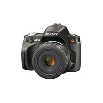 Test du sony Alpha 6700 : découvrez l'hybride APS-C ultime